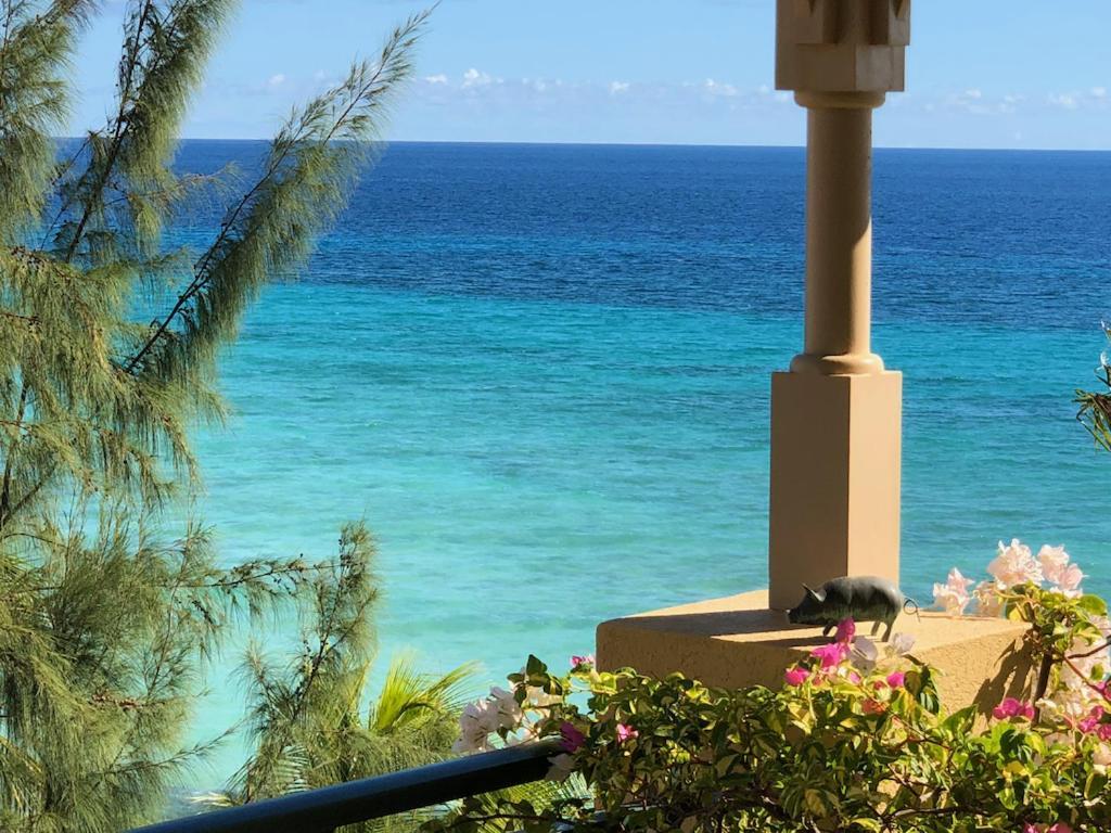 White Sands Beach Condos Κράιστ Τσερτς Εξωτερικό φωτογραφία